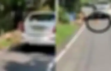 Lehernya Terikat Kencang, Anjing Betina Ini Diseret Seorang Pria Pakai Mobil Berkecepatan Tinggi, Video Mengerikannya Viral Sampai Polisi Turun Tangan