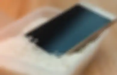 Dipercaya Bisa Buat Ponsel Basah Menjadi Kering, Ternyata Anggapan Meletakkan Handphone di Beras Bikin Rusak, Ini Penjelasannya