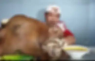 Waduh Ngeri! Pria Ini Mukbang Kepala Sapi Utuh Bikin Nggak Nafsu Makan