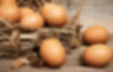 Pertimbangkan Lagi Memasak Telur di Panci Alumunium, Ternyata Bahaya Bagi Kesehatan Tubuh 