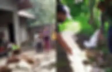 Puluhan Hewan Ternak Dibunuh Makhluk Penghisap Darah, Polisi Akhirnya Turun Tangan Buru 'Pelaku', Warga: Mayoritas Warna Hitam