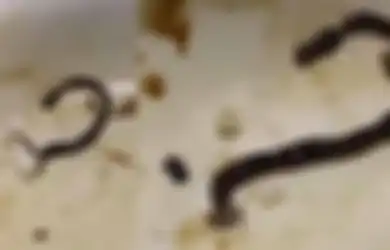 Viral, Perempuan Ini Tertawa-tawa Benda Mirip Cendol Nyaris Tertelan Saat Minum Air Putih: Bisa-bisanya Gue Gak Jijik