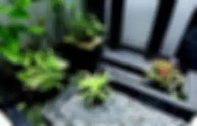 Cara Merespons Cuaca dengan Tepat agar Taman Kering Tumbuh Maksimal