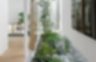 Banyak yang Belum Tahu, Begini Tips Menghadirkan Taman Kering pada Desain Rumah Minimalis