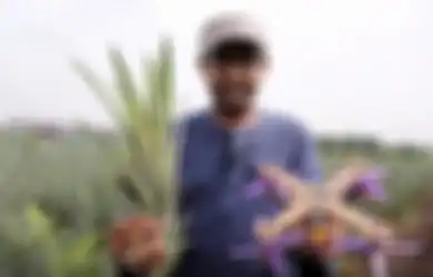 Peneliti Asal Malaysia Kembangkan Drone Dari Serat Daun Nanas