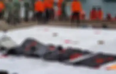 Terima 6 Kantong Potongan Tubuh Diduga Penumpang Sriwijaya Air SJ 182, RS Kramat Jati Ungkap Cara Identifikasi Korban, Ini Tahapan-tahapan yang Bakal Dilalui