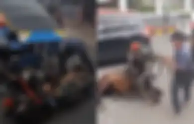 Awalnya Diduga Kelelahan, Ternyata Ini Penyebab Kuda Penarik Delman Jatuh Terkapar di Cianjur, Pemilik Ungkap Kronologi Sebenarnya