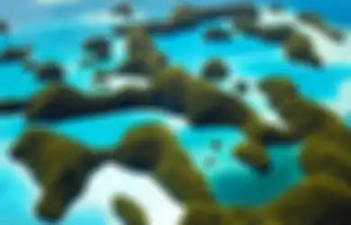 Berbatasan Dengan Indonesia, Negara Kecil Ini Bakal Jadi Musuh Mengerikan Bagi Tiongkok Bila Nekat Tebar Teror di Laut China Selatan