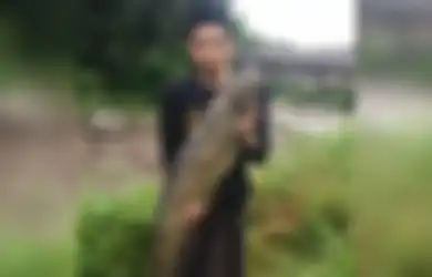 Disapu Banjir Bandang hingga Rusak Pemukiman, Pria Cisarua Ini Temukan Ikan Raksasa Pasca Air Meluap, Panjangnya Capai Semeter dengan Berat 8 Kg