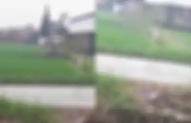 Siang Bolong Nafsu Birahinya Tak Tertahankan, Sejoli Ini Nekat Mesum di Gubuk Pinggir Sawah hingga Aksinya Terekam Warga, Polres Pekalongan Buru Pelaku