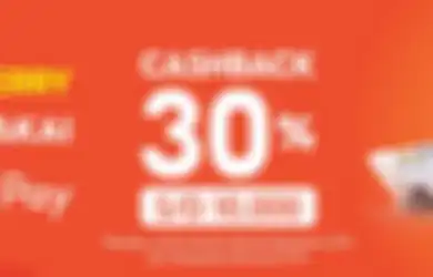 Cara Beli Tiket Kapal Feri di Aplikasi Ferizy, Bayar Pakai ShopeePay Dapat Cashback 30%