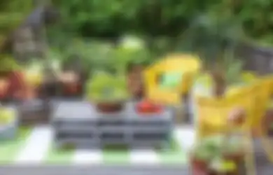 Cara Bersihkan Lumut di Bebatuan Taman dan Bikin Tak Tumbuh Lagi