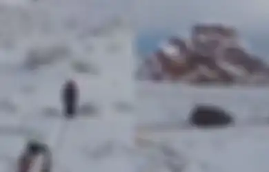 Pegunungan Tabuk Arab Saudi Mendadak Berselimut Salju, Unta Sampai Kebingungan, Pihak Berwenang Keluarkan Peringatan