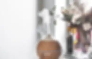 Mirip-mirip Sampai Tak Bisa Bedakan, Ternyata Diffuser, Humidifier, dan Purifier Miliki Manfaat yang Berbeda! Jangan Salah Beli..