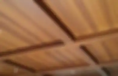 Papan Semen Ringan dan Tahan Air Cocok untuk Plafon, Apa Plus Lainnya?