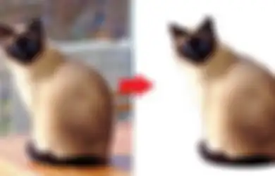 Cara Mudah Hapus Background Foto Tanpa Aplikasi di HP Samsung