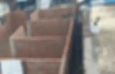 Akses Jalan Ditembok Permanen, 4 Keluarga di Pemalang Terpaksa Lewat Got Sempit Tiap Kali Masuk ke Rumah, Kepala Desa: Belum Ketemu Jalan Keluarnya...