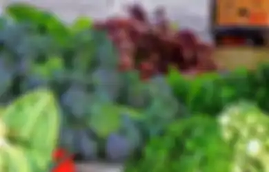 Wajib Banget Dicatet, Inilah Sederet Makanan yang Ternyata Ampuh Turunkan Risiko Kanker Payudara