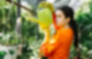 Pantas Saja Tanaman di Rumah Masih Digerogoti Serangga, Coba Siapkan Bumbu Dapur Satu Ini, Hasilnya Bikin Tercengang!