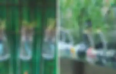 Berkebun Tanpa Limbah dengan Manfaatkan Barang Bekas, Ini Inspirasinya