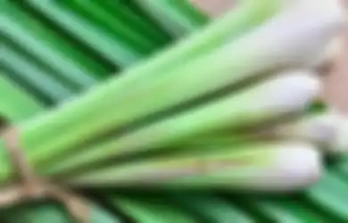 Nyesel Kalau Enggak Tahu! Ini 5 Khasiat Daun Serai Buat Kecantikan