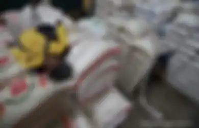 Ombudsman Gerak Cepat Cegah Pemerintah Agar Tak Langung Impor Beras, Potensi Maladministrasi Ditemukan