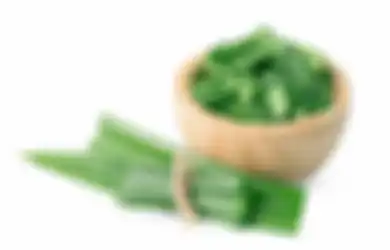 Harumnya Semerbak Mewangi, Daun Pandan Nyatanya Punya Segudang Manfaat Luar Biasa di Balik Wujudnya yang Kecil, Lenyapkan Radang Sendi Cukup Campurkan Minyak Ini
