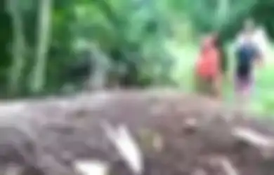 Ramai Jadi Tontonan Warga, 3 Buah Makam di Padang Pariaman Tanahnya Secara Misterius Meninggi Capai 1,5 Meter, Juru Kunci: Nisannya Tidak Rusak
