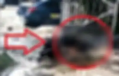 Ledakkan Bom Bunuh Diri di Tubuhnya, Terungkap Kondisi Mengerikan Pasangan Pengantin Bom Makassar, Jasad Sang Pria Gosong Lengket di Motor