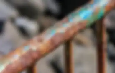 Waspada Tetanus dari Benda Berkarat, Penyebab dan Cara Mencegahnya