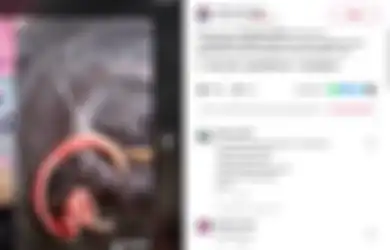 Berbentuk Mirip Cacing dan Bisa Keluarkan Cairan Seperti Akar, Viral Video Hewan Misterius yang Diduga Mematikan, Berikut Penjelasan LIPI