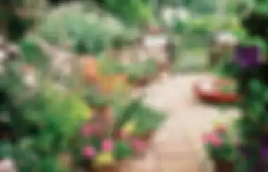 Menata Taman dengan Kaidah Feng Shui, Perhatikan 6 Unsur Ini!