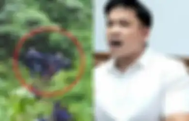Takut Kebakar, Rombongan Jordi Onsu Teriak Minta Tolong Saat Mobil Tiba-tiba Melaju Kencang dan Masuk Jurang, Adik Ruben: Warga Langsung Terjun dengan Tali
