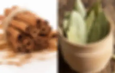 Nggak Bakal Bolak Balik Sakit, Hanya Rutin Minum Air Rebusan Daun Salam dan Kayu Manis Khasiat Luar Biasa ini Bakal Dirasakan Tubuh