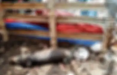 Disebut Berubah Wujud dari Manusia Berjubah dengan Kalung Tasbih, Kuburan Babi Ngepet di Depok Dibongkar, Polisi Temukan Fakta Mengejutkan Ini