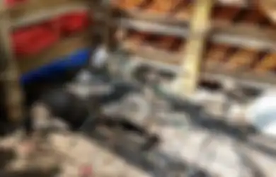 Buat Heboh Tengah Malam, Warga Depok Ramai-ramai Tangkap Seekor Babi yang Diduga Hewan Jadi-jadian: Semua Orang Nangkapnya Pada Bugil