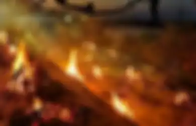 Miris, Kekurangan Kayu untuk Kremasi Warga yang Meninggal Karena Corona, India Sampai Perintahkan Tebang Pohon di Taman Kota