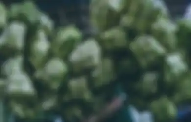 Nge-stock Ketupat Pas Lebaran? Coba 3 Trik Ini Biar Nggak Cepet Basi