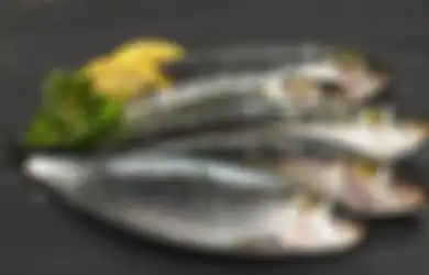 Enggak Semua, Ini 6 Jenis Ikan Paling Sehat dan Bermanfaat Buat Tubuh