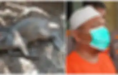 Bongkar Kontroversi Babi Ngepet di Depok, Polisi Temukan Kasus Penipuan Berkedok Mitos, Pelaku Bekerja Sama Merekayasa hingga Keluar Modal Beli Babi Rp 1,1 Juta 