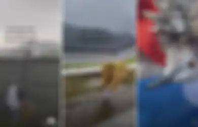 Nekat Berlari Terjang Hujan Deras Pakai Mantol, Aksi Seorang Gadis Selamatkan Seekor Burung Nyangkut di Pagar Ini Banjir Pujian Netizen: Kasihan, Seperti Kesakitan Sekali