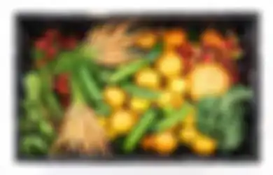 Mulai Perbanyak Konsumsinya! 4 Makanan Ini Disinyalir Bagus untuk Kanker Payudara