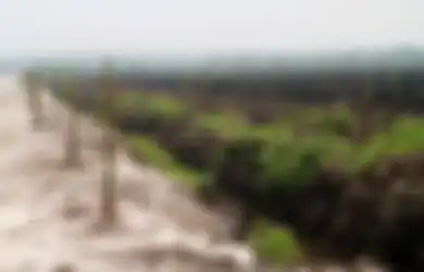 Punya Tanah Wajib Dimanfaatkan, jika Diterlantarkan akan Disita Negara