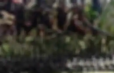 Video KKB Papua Tantang Perang Pasukan Setan TNI dari Dalam Hutan Nduga: Mau Kirim Berapa Personel, Anda Tidak Akan Bisa Keluar 
