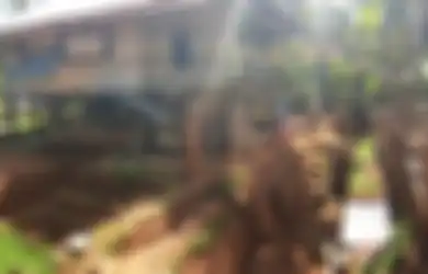 Benar-benar Mirip dengan Video Viral di Youtube, Kakek di Sulawesi Ini Iseng Buat Rumah Bawah Tanah dengan Desain Tidak Umum, Akui Tak Ada Kerjaan dan Garap Semuanya Buat Hiburan