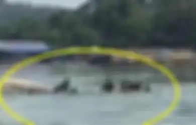 Baru Setahun Kerja dan Diupah Rp 100 Ribu Per Hari, Bocah 13 Tahun Ini Jadi Tersangka di Kasus Perahu Terbalik Waduk Kedung Ombo, Polisi: Dia Diperintahkan Oleh Pamannya...