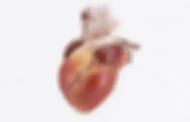 Jawaban Pengaruh Lingkungan Terhadap Kesehatan Organ Peredaran Darah