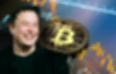 Harga Aset Kripto Anjlok Terus, Investor Kripto Salahkan Elon Musk