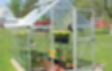 Perlukah Greenhouse untuk Berkebun Hidroponik? Ini Penjelasannya!
