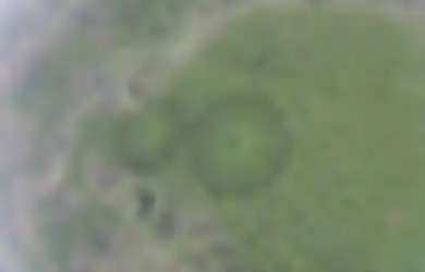 Berpola ‘Crop Circle’ Nggak Lazim, Hutan di Jepang Ini Ternyata Merupakan Eksperimen Pemerintah